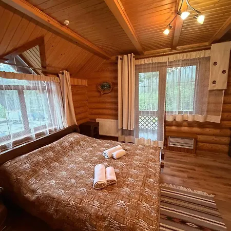 дикий кіт Hotel Vorokhta