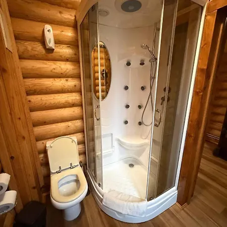 Hotel дикий кіт