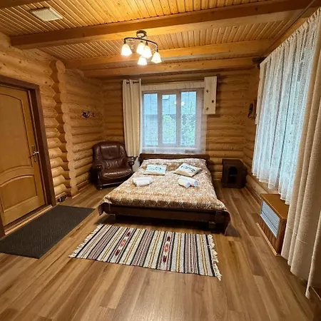 дикий кіт * Vorokhta