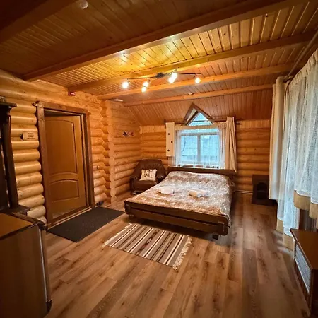 дикий кіт Vorokhta