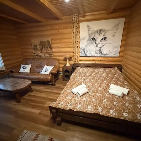 дикий кіт Hotel