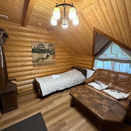 дикий кіт *