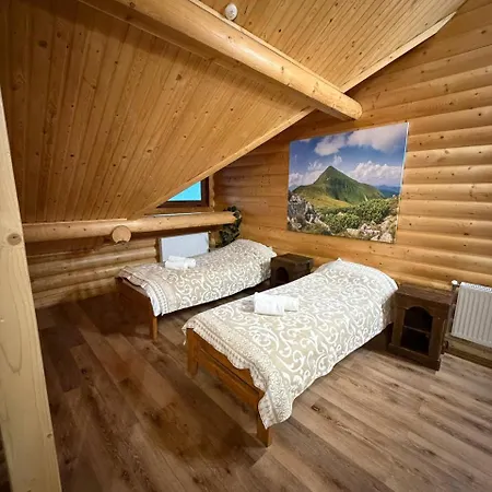 дикий кіт Vorokhta