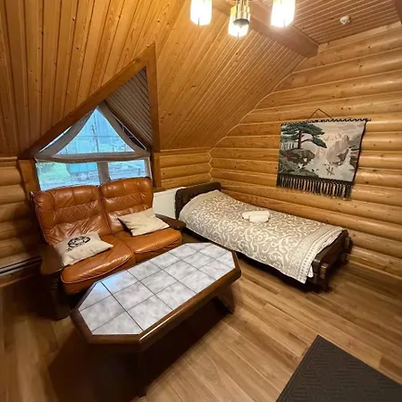дикий кіт Hotel Vorokhta