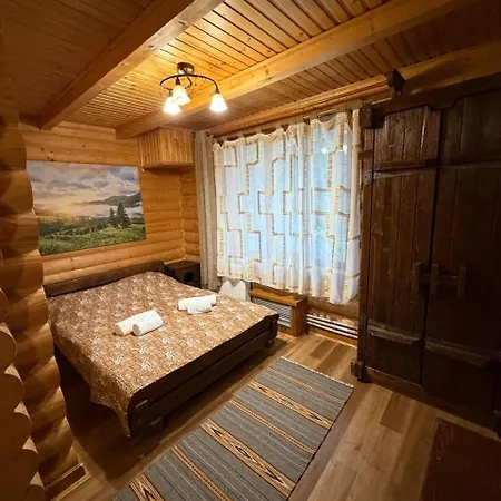 дикий кіт 보로크타